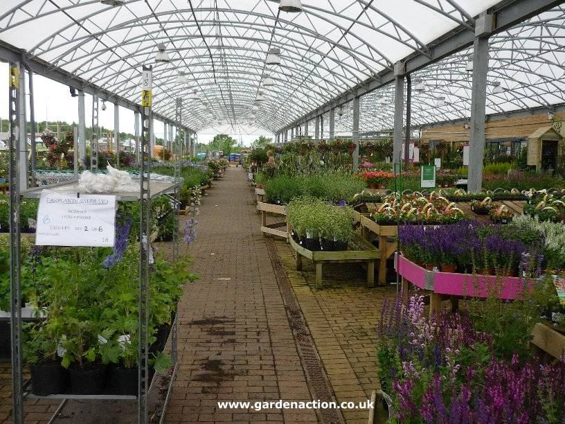 Dobbies Garden Centre Dundee Jobs Beautyabstractdesigner