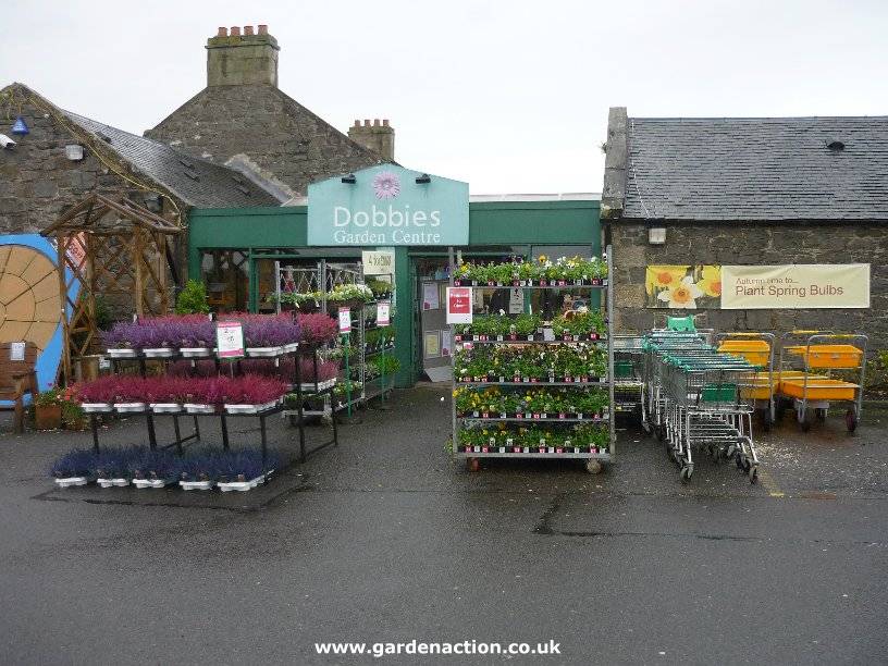 Dobbies Garden Centre Dundee Santa Beautyartisticcakes