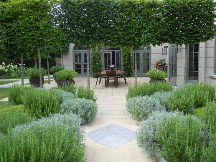 Lavender Garden Design Ideas
