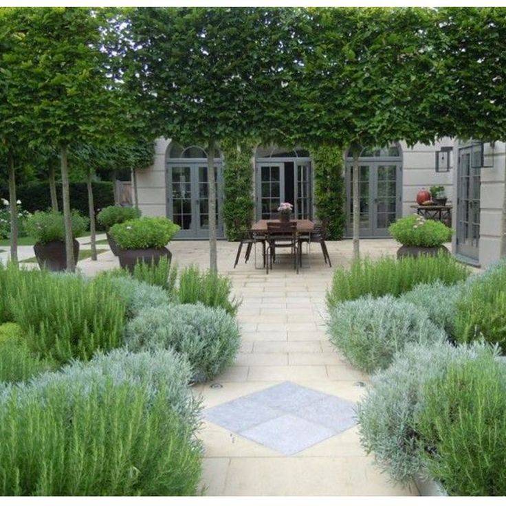 Lavender Rosemary And Sedum Garden Ideas