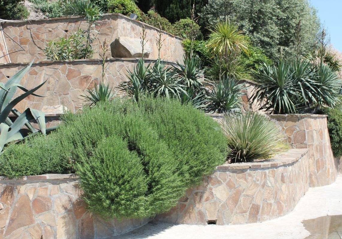 My First Gardening Attempt