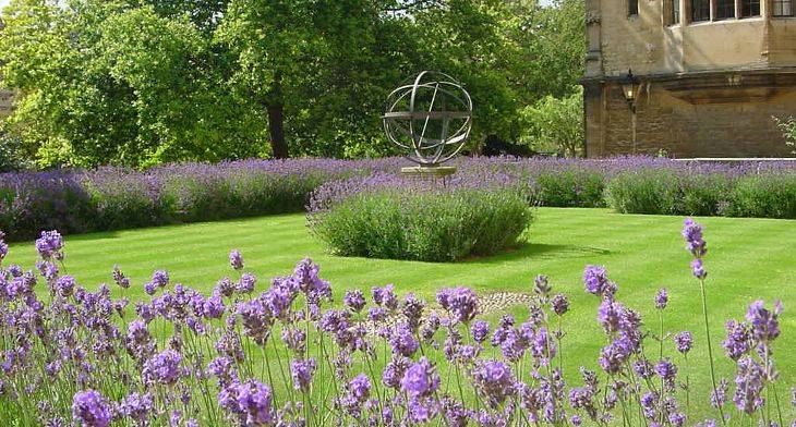 Driveway Gravel Driveway Landscaping