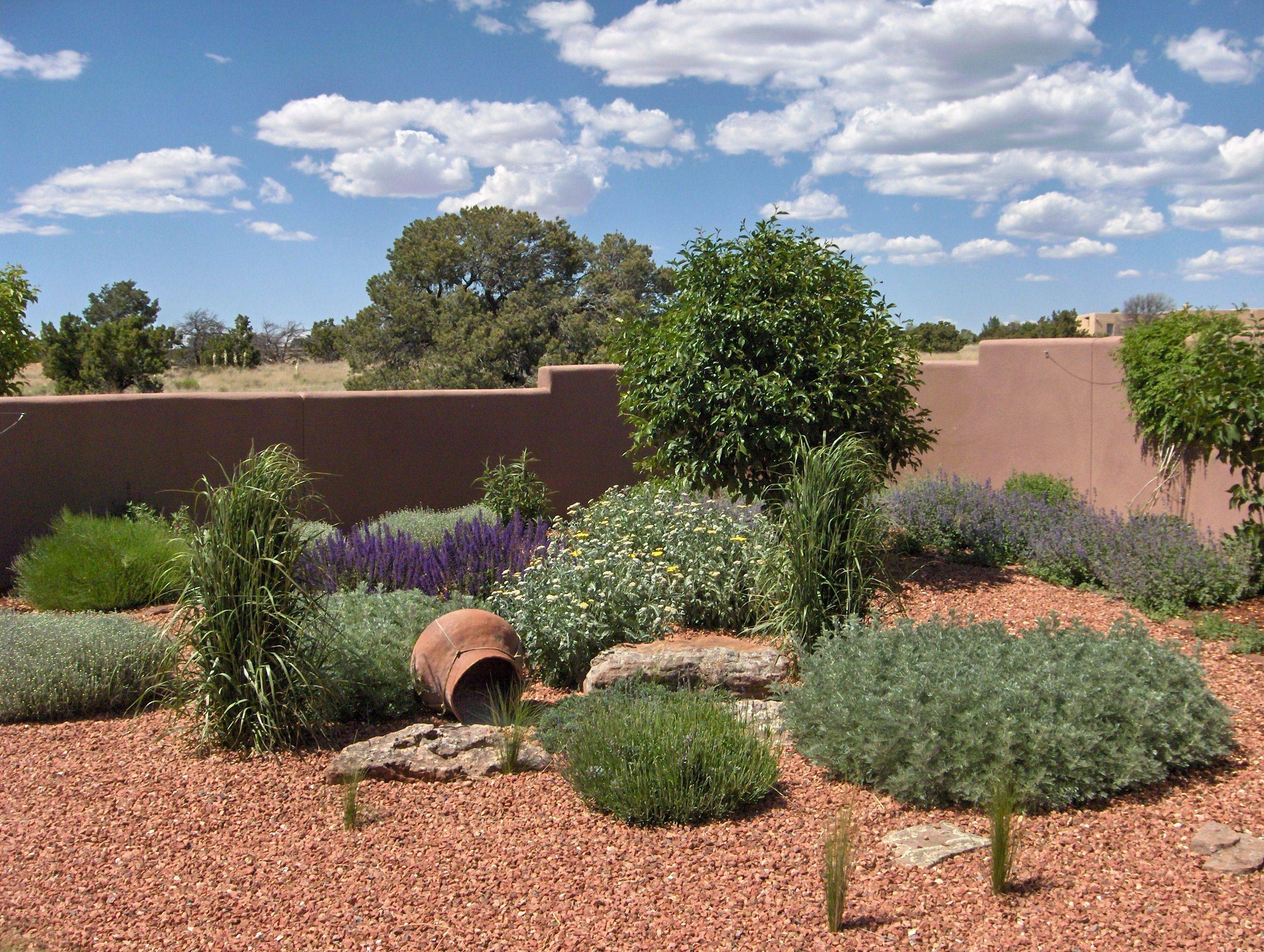 Santa Fe Style Garden Marilyns Garden Designmarilyns Garden Design