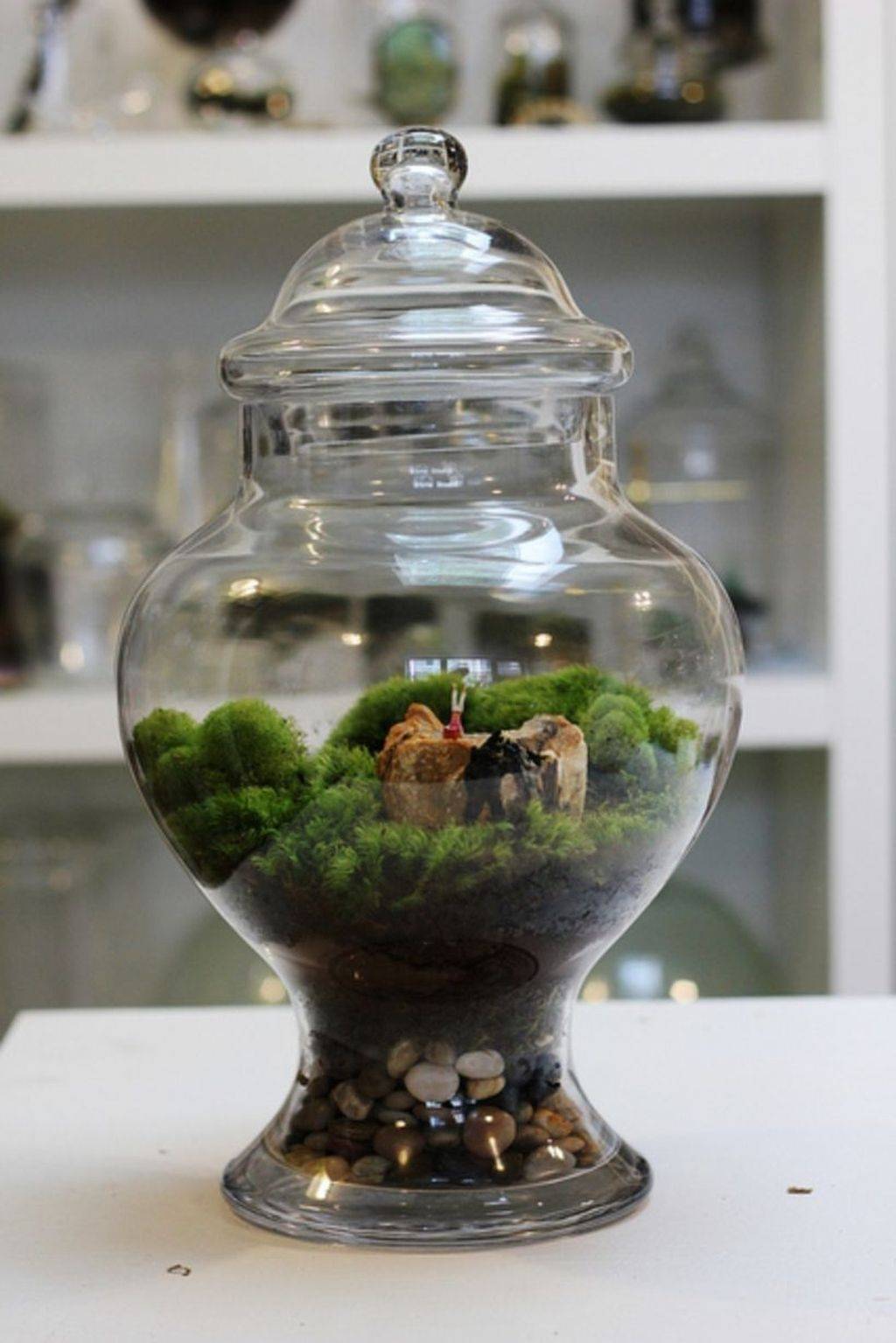 21 Glass Garden Decor Ideas You Must Look SharonSable
