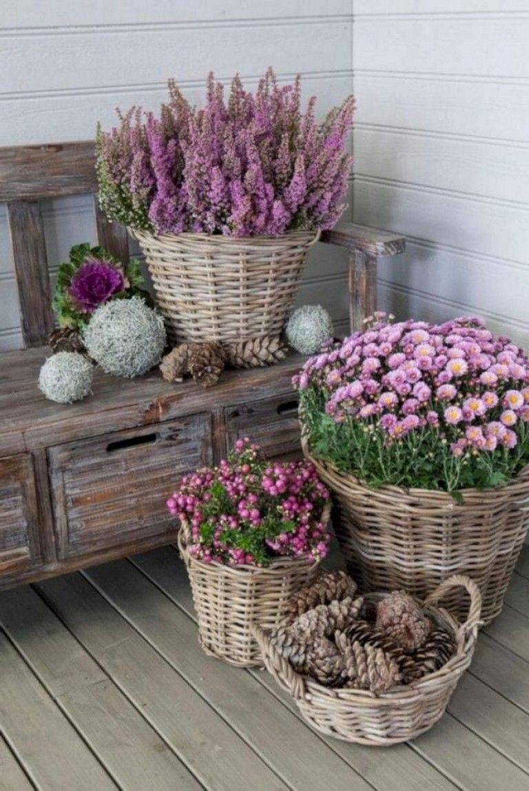 Seasonal Plants Raised Bed