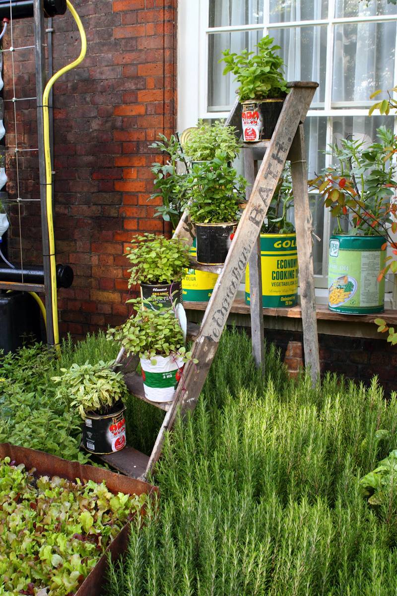 Beautiful Diy Backyard Vegetable Garden Ideas Decorecent Plants