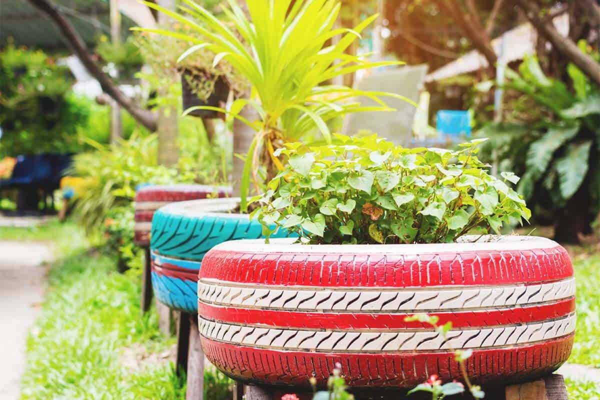 Creative Diy Tire Container Gardening Ideas Sensory Garden Garden