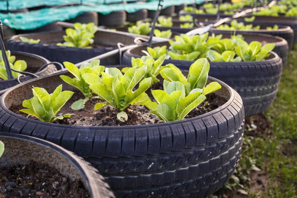 Diy Old Tire Garden Ideas