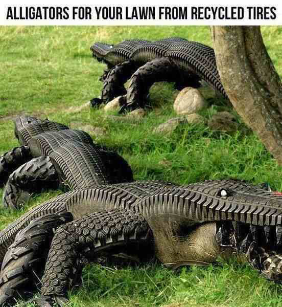 Alligator Tires