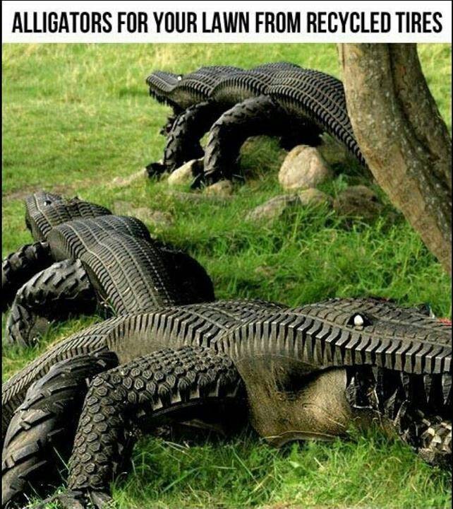 These Garden Alligators