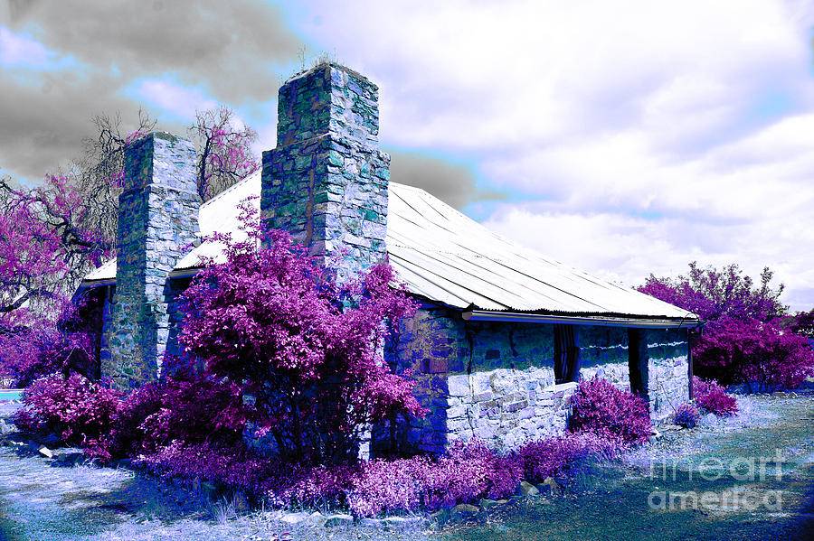 Front Yard Garden Design