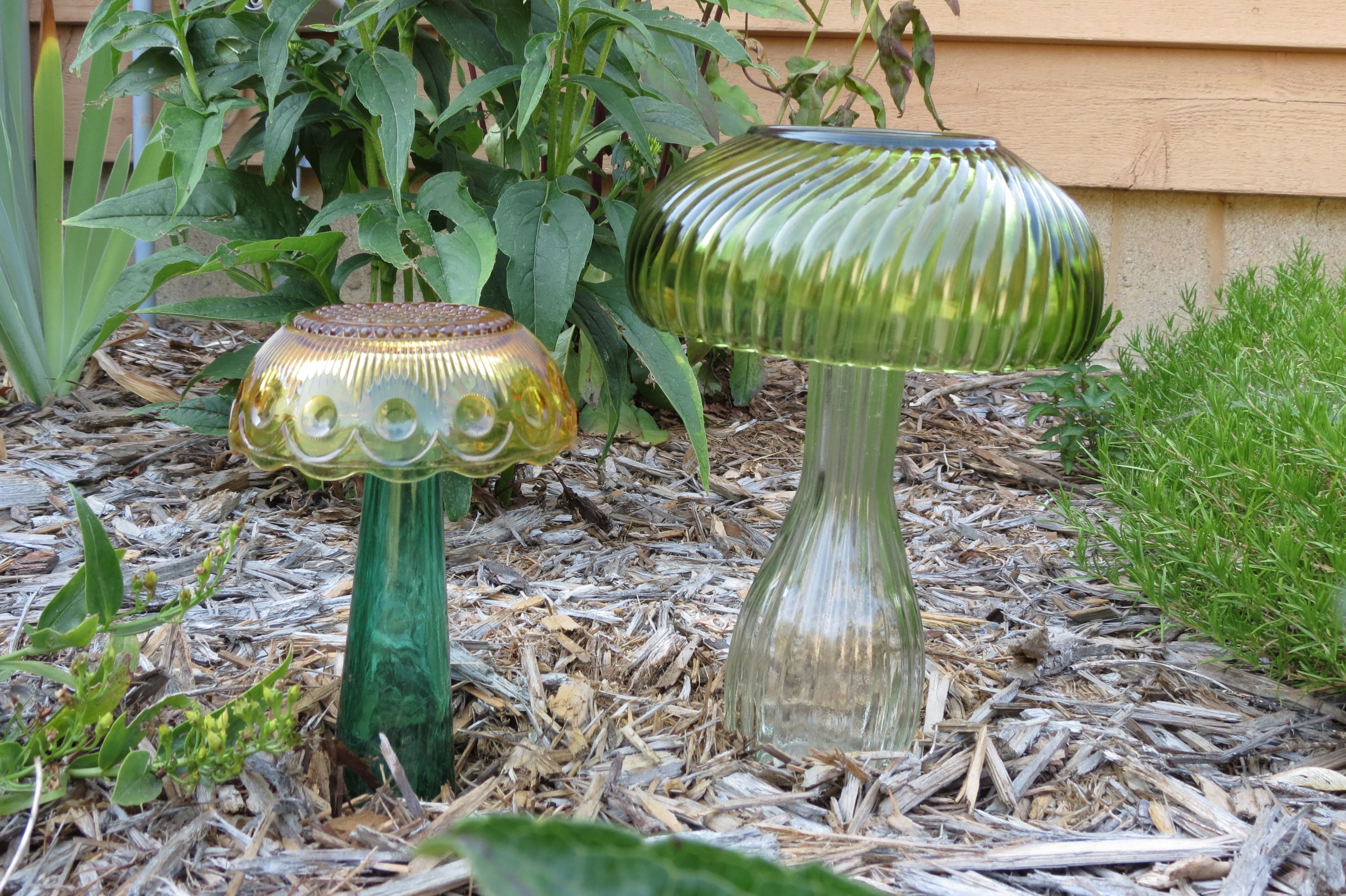 Glass Garden Mushroom