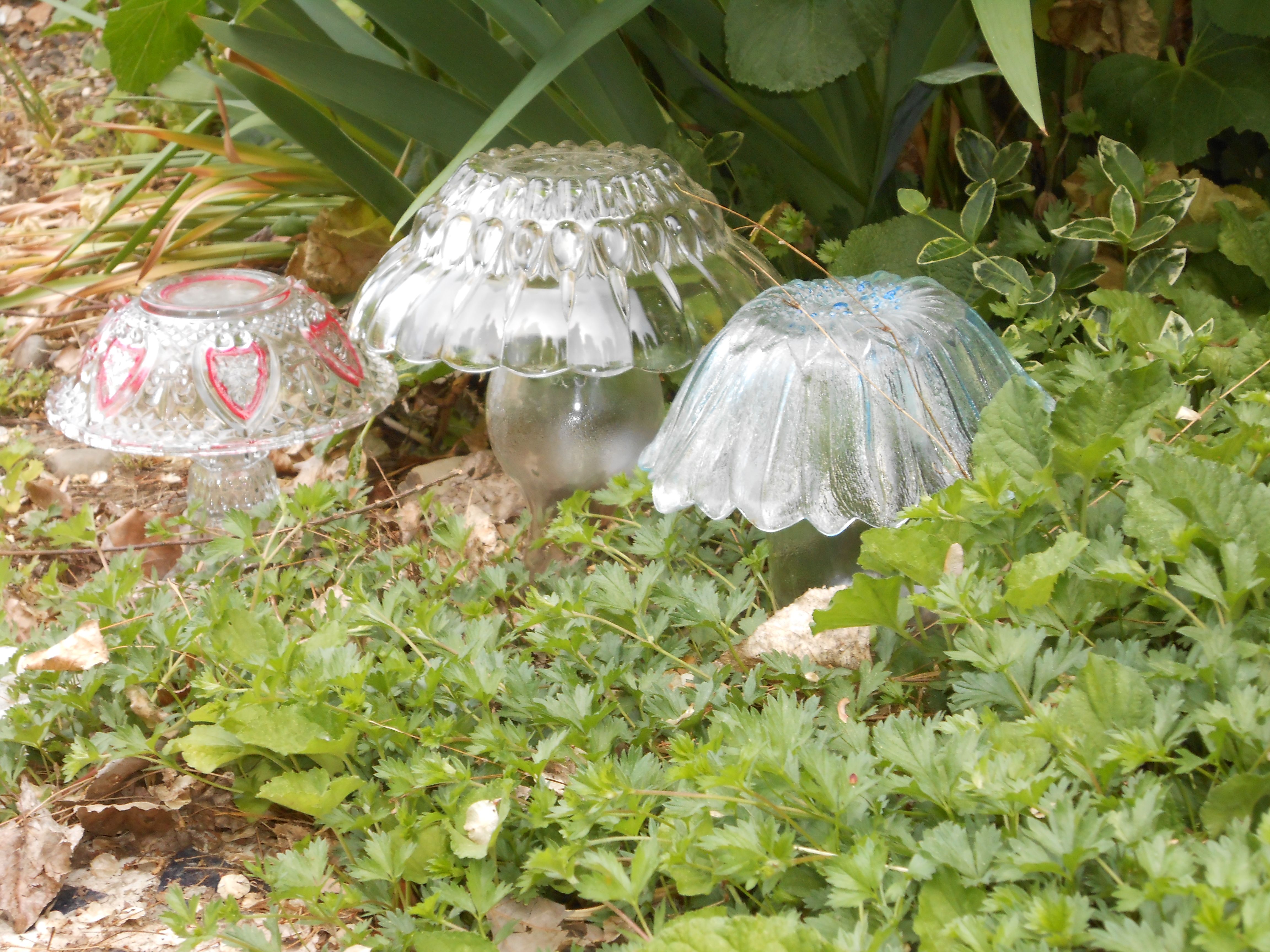Glass Garden Mushrooms