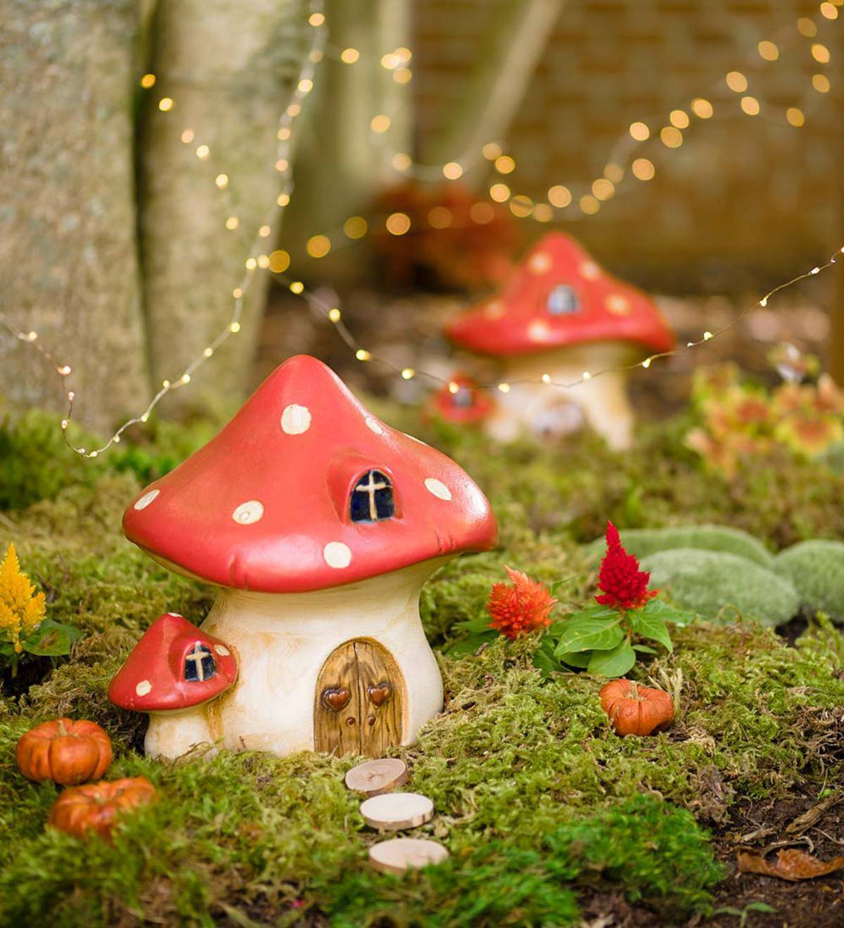Your Backyard Fairy Garden