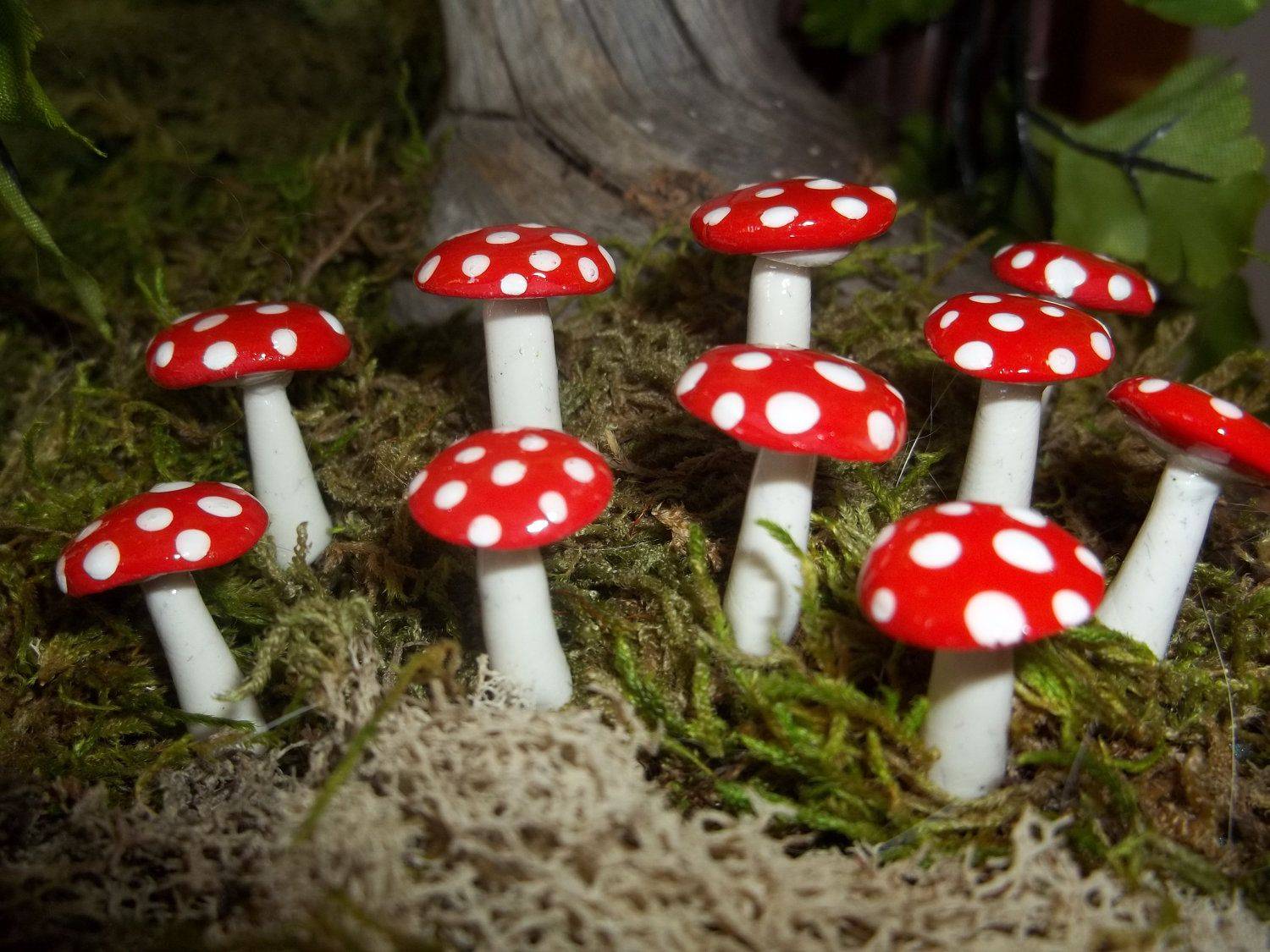 Fairy Garden Mushrooms