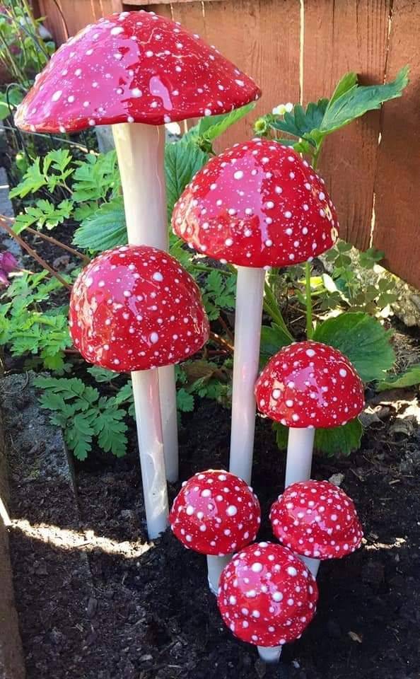 Garden Mushrooms