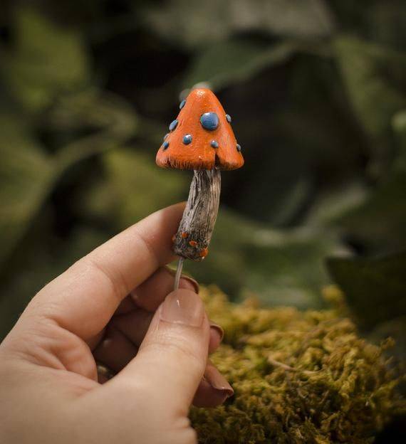 Fairy Garden Mushrooms