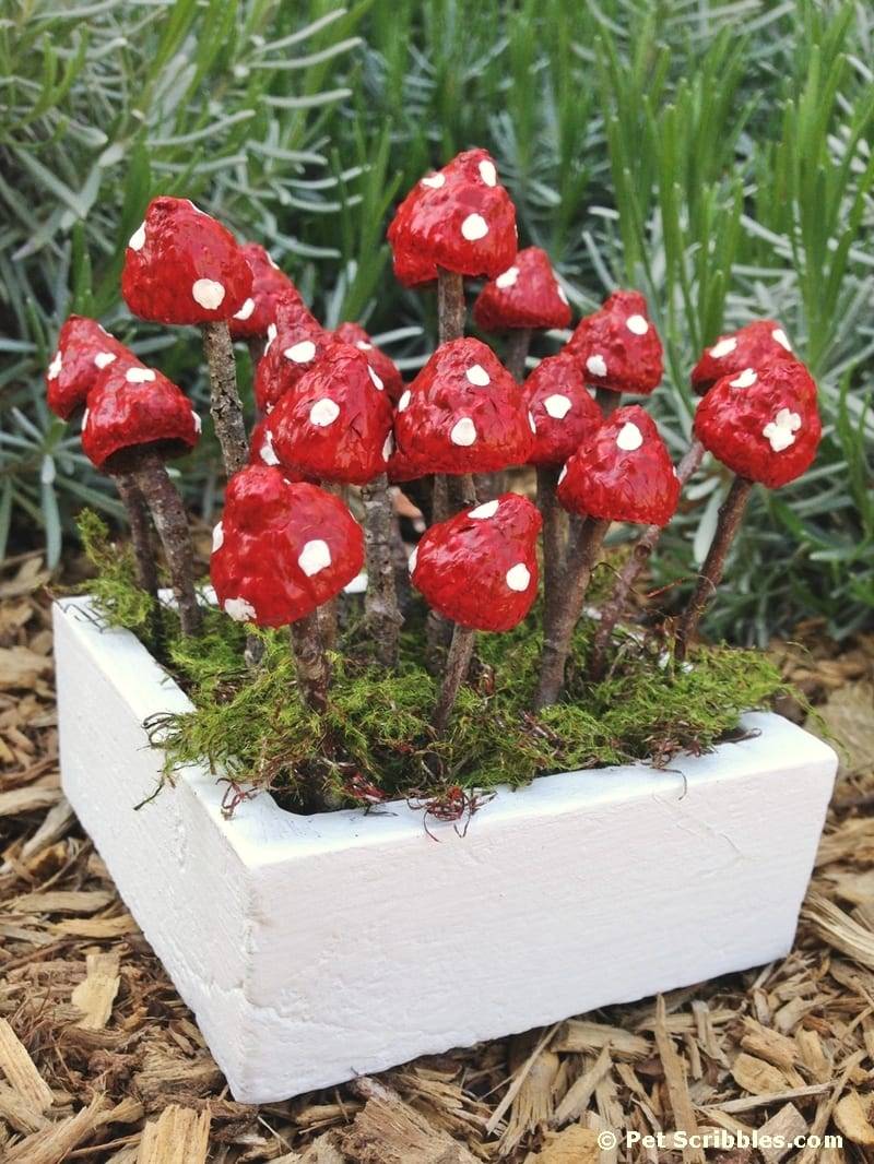 Mini Mushrooms