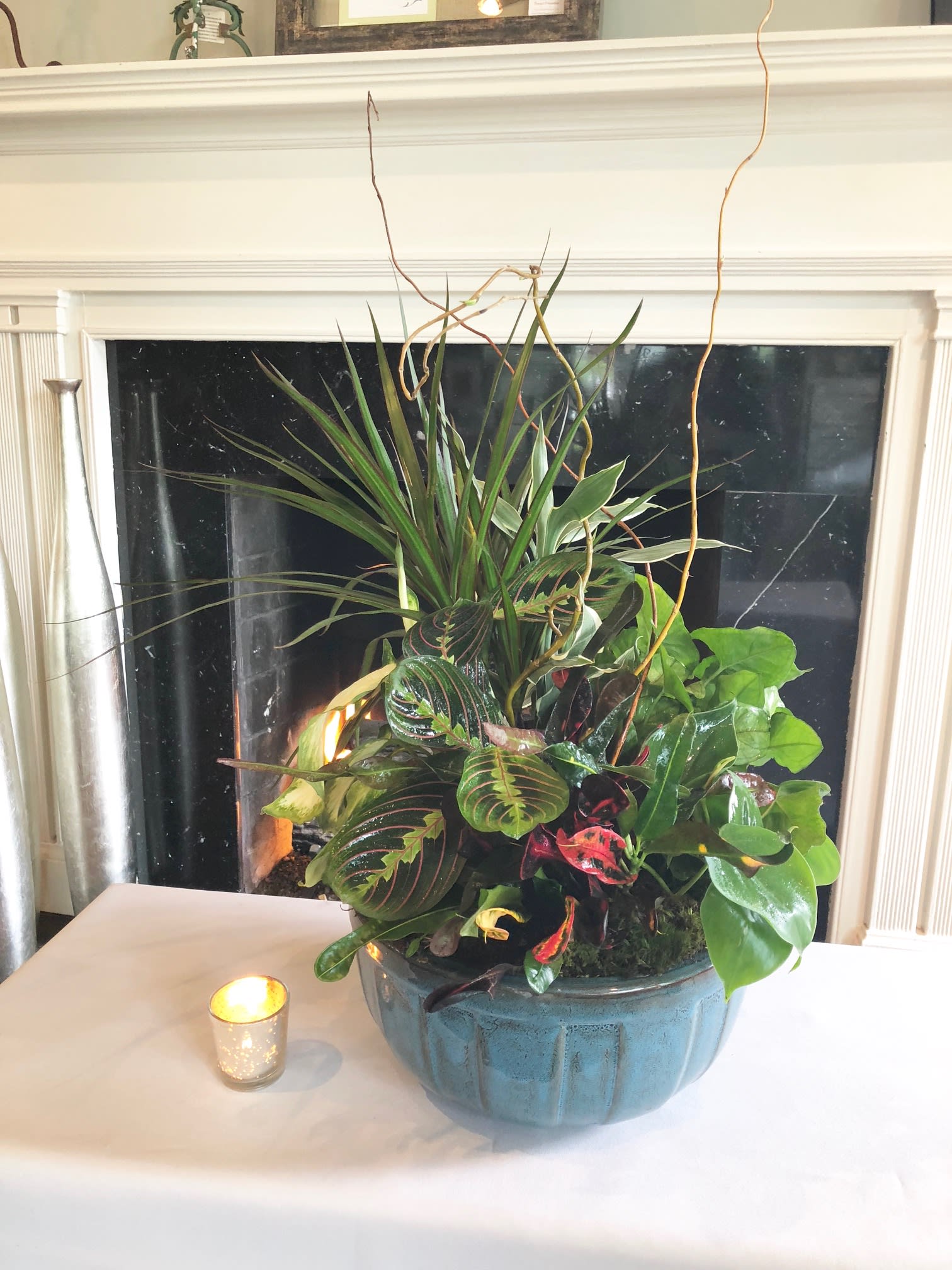 An Indoor Succulent Dish Garden