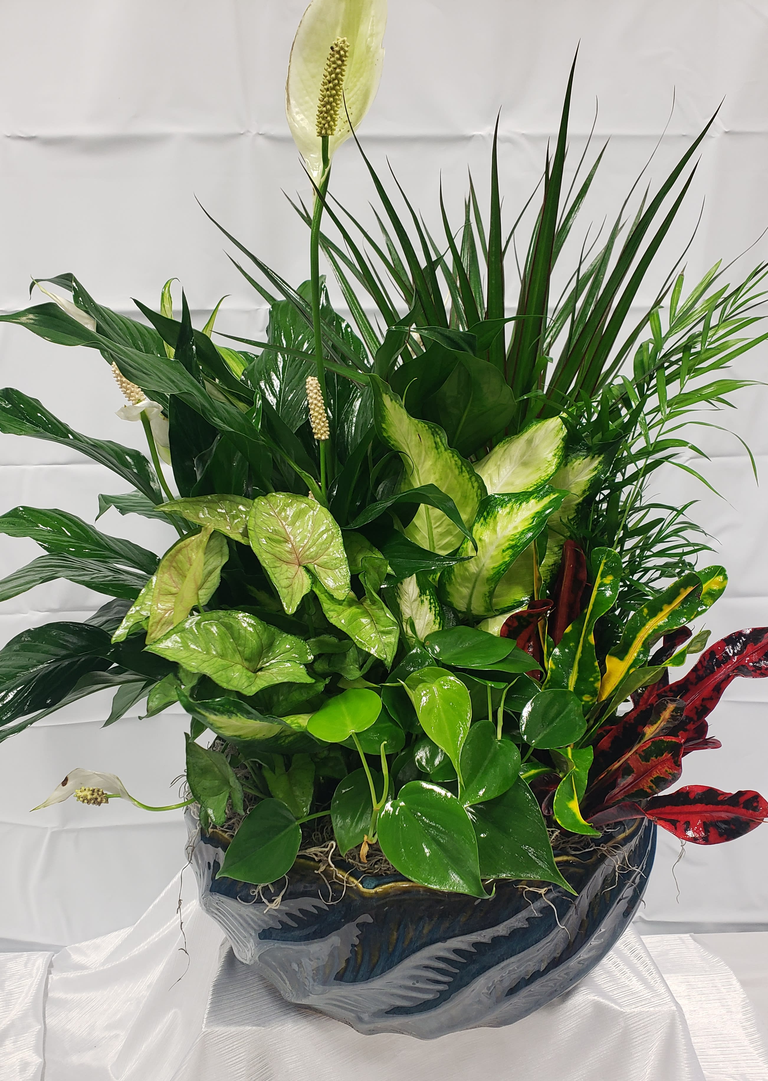 A Little Dish Garden