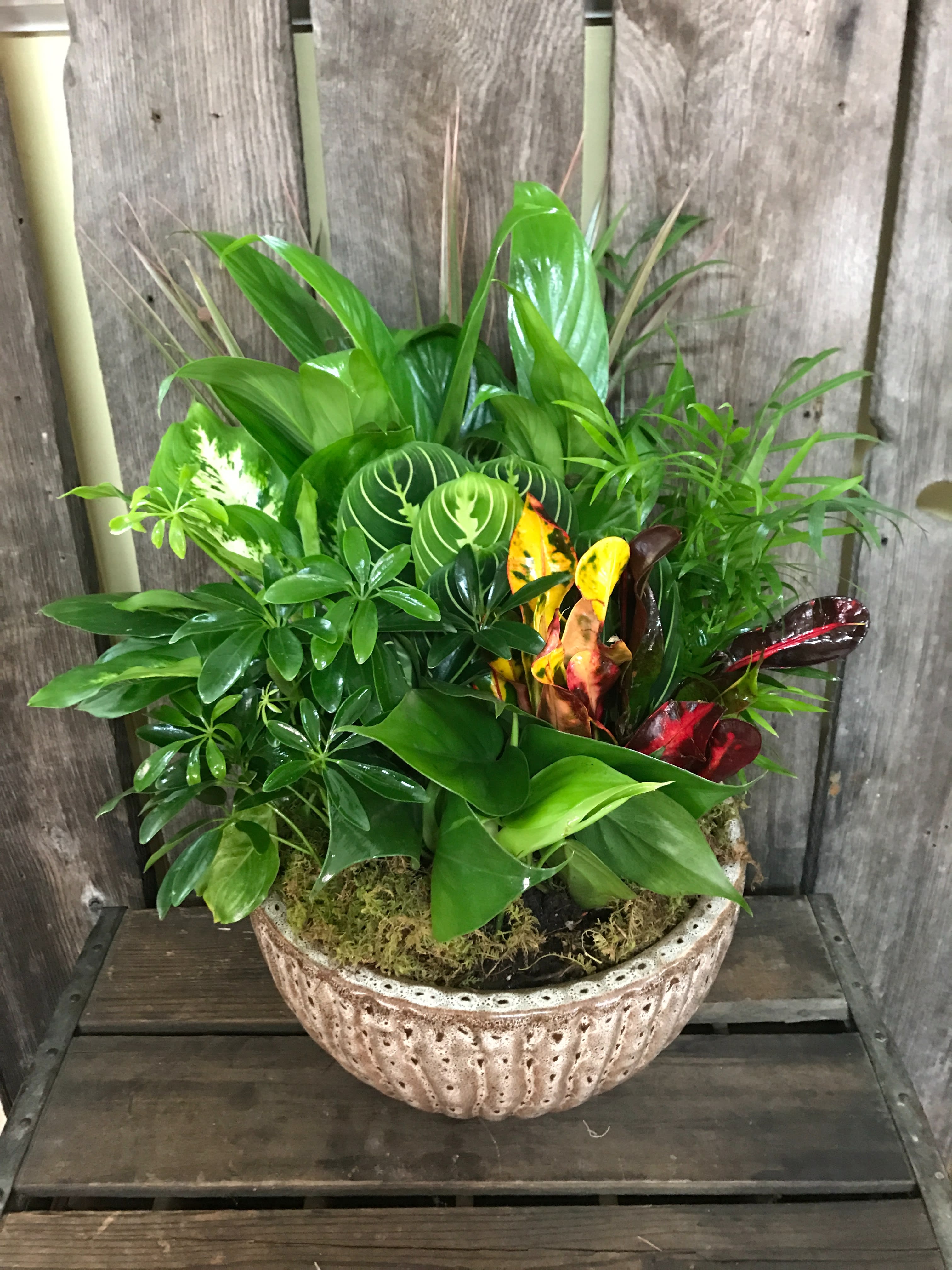 21 Dish Garden Flowers Ideas Worth a Look SharonSable