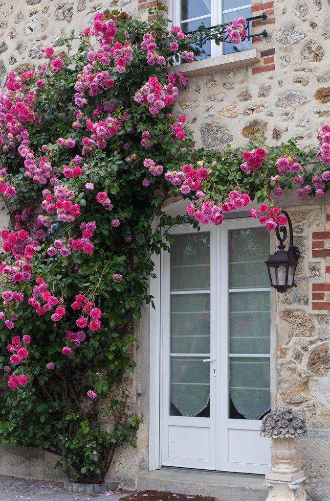 Beautiful Gardens