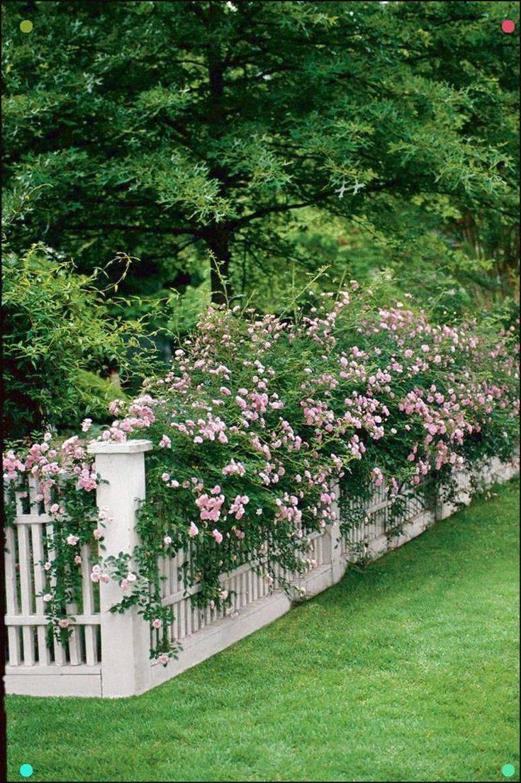 Fabulous Decorations