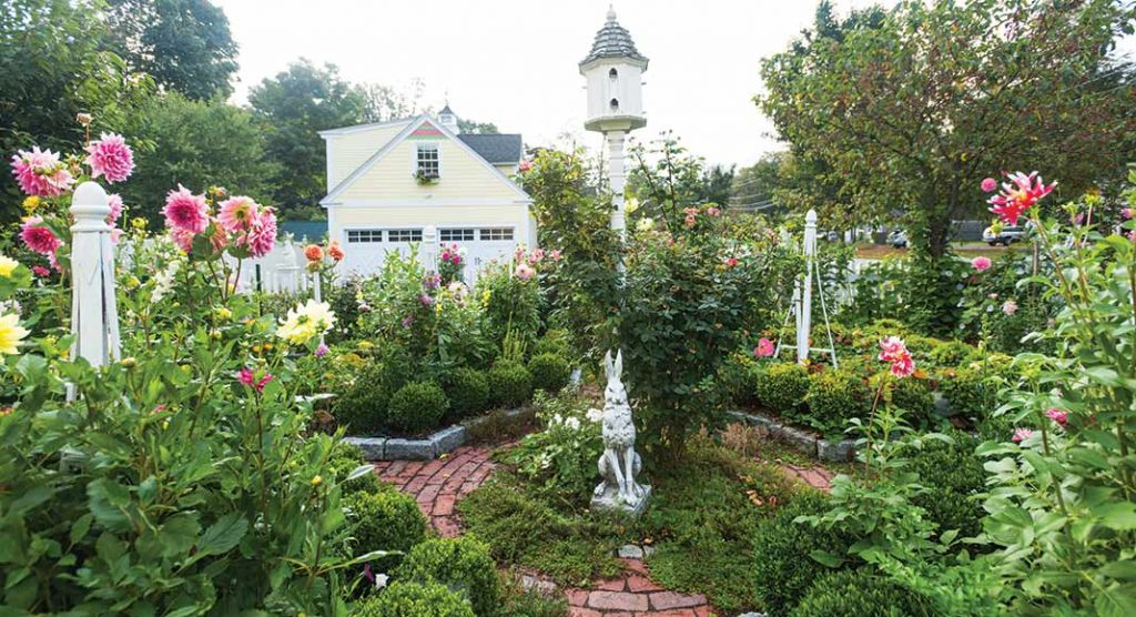The Cottage Garden Look
