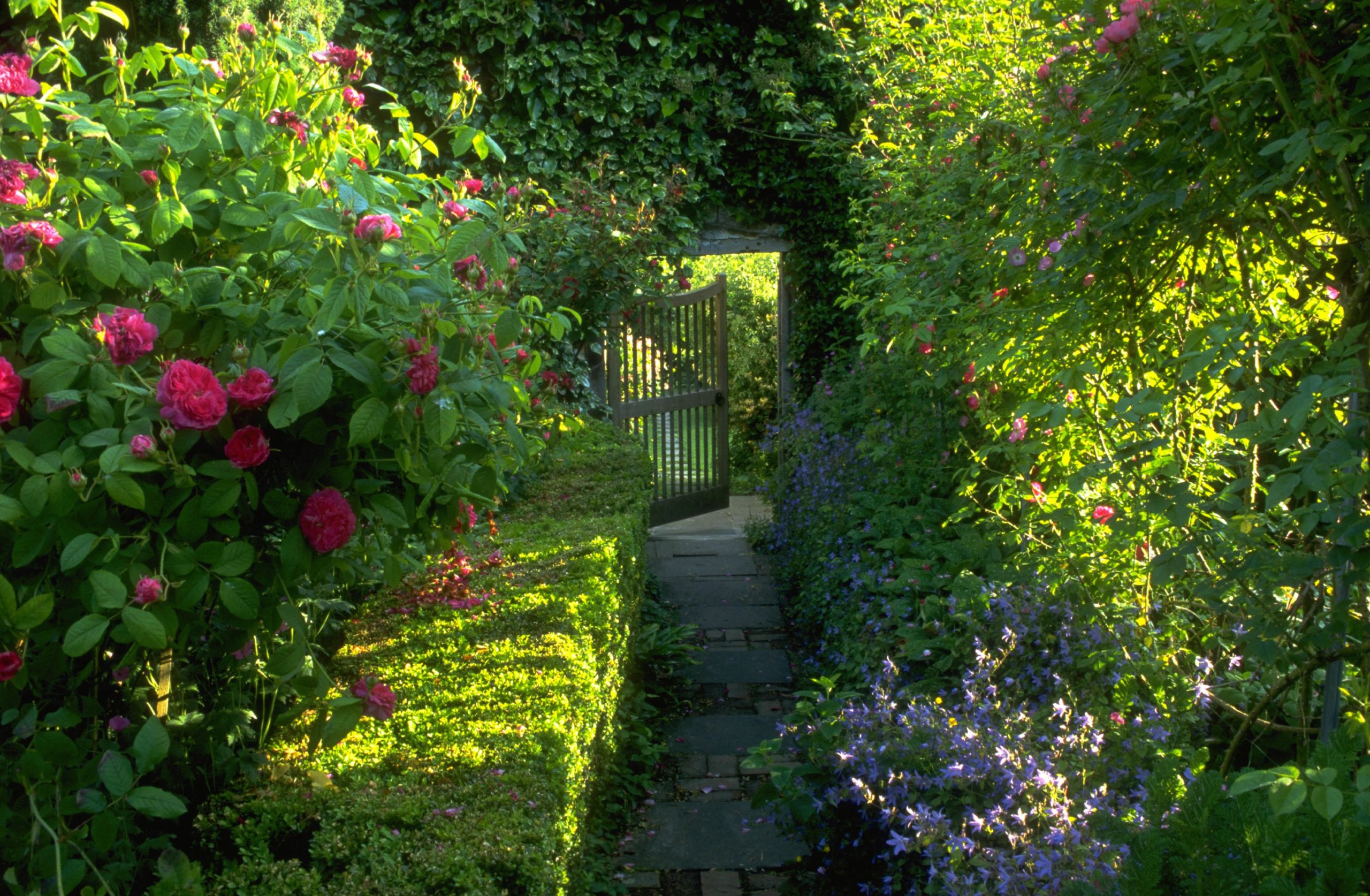 Culzean Garden