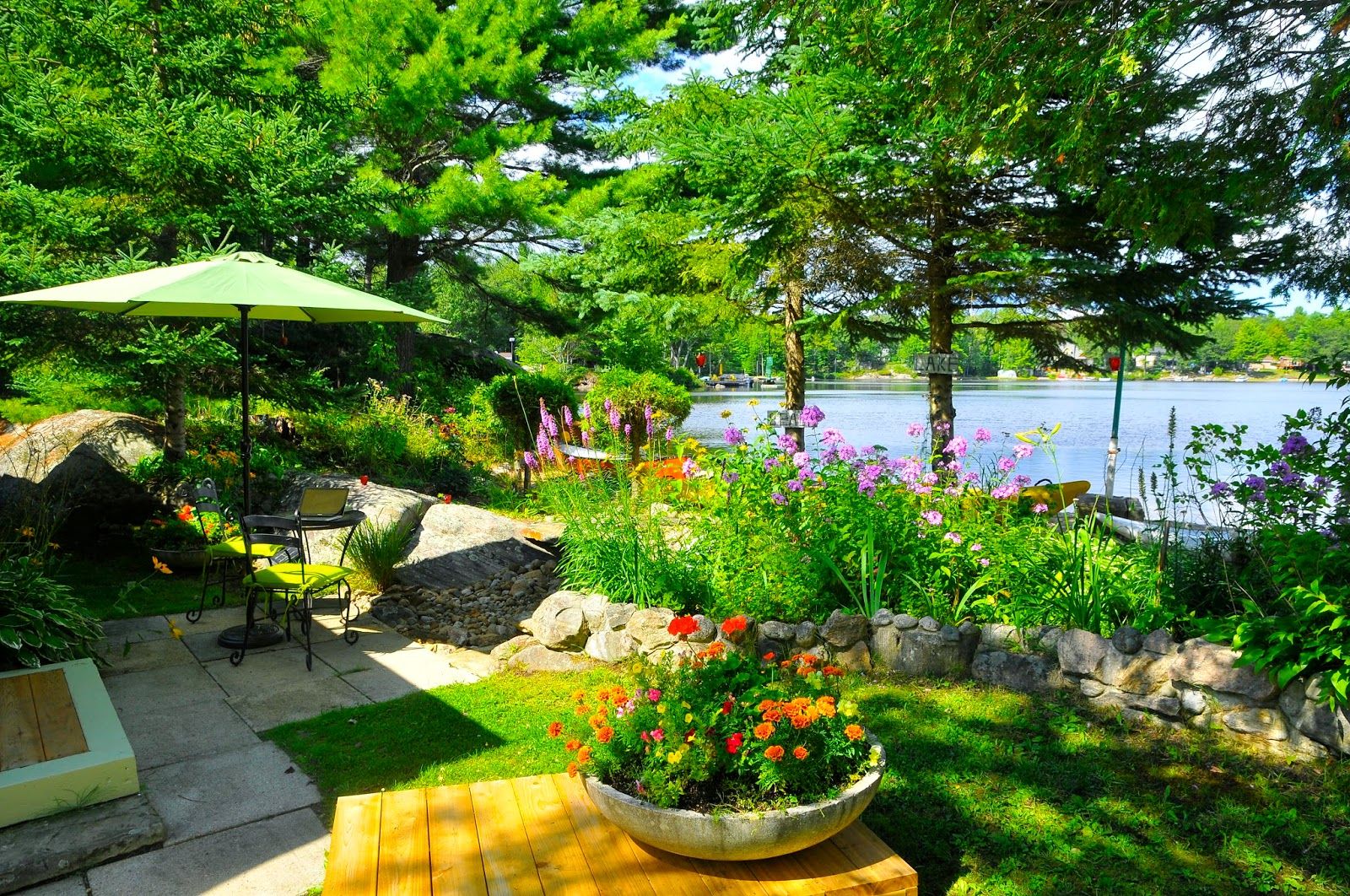The Backyard Pictures