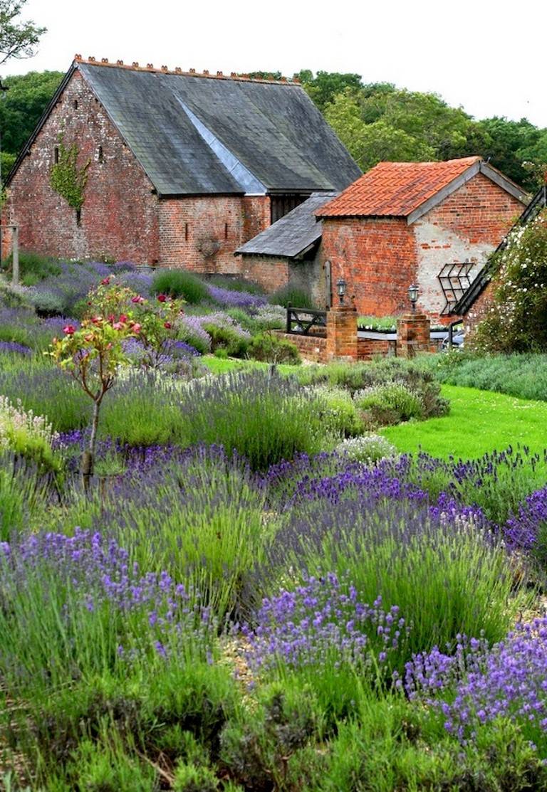 Modern English Country Garden Design Ideas