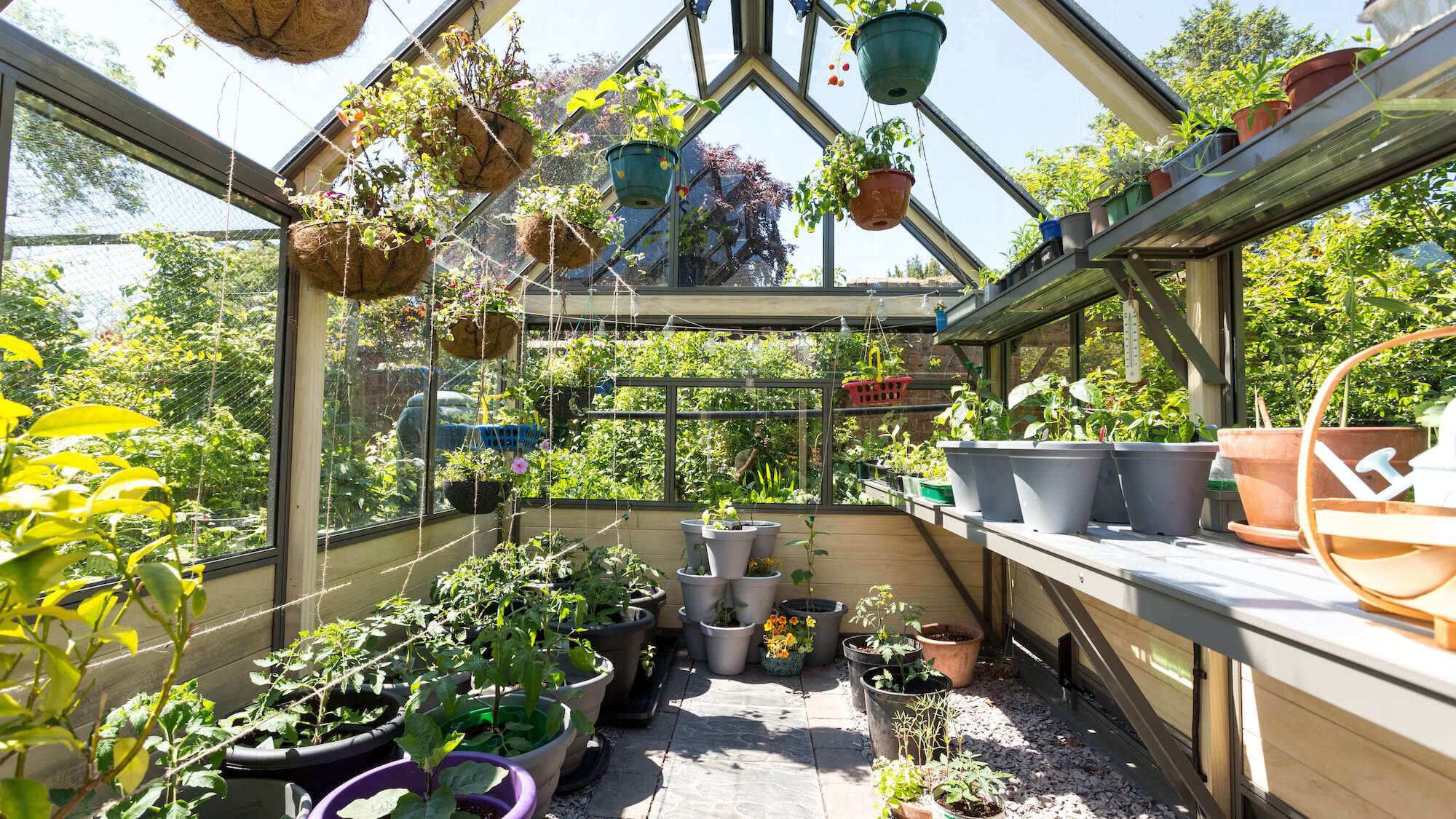 Amazing Conservatory Greenhouse Ideas