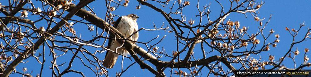 Landscape Architecture