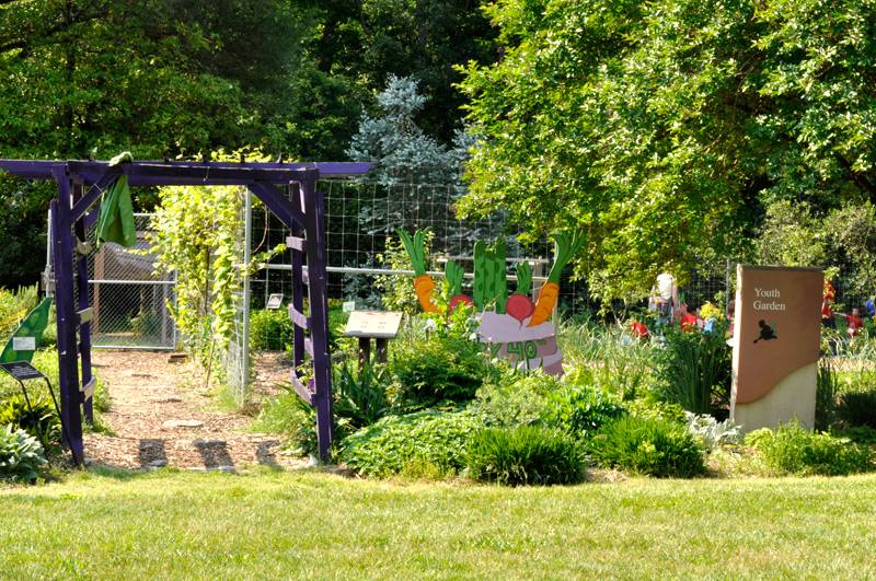 Arboretum Plants Vines