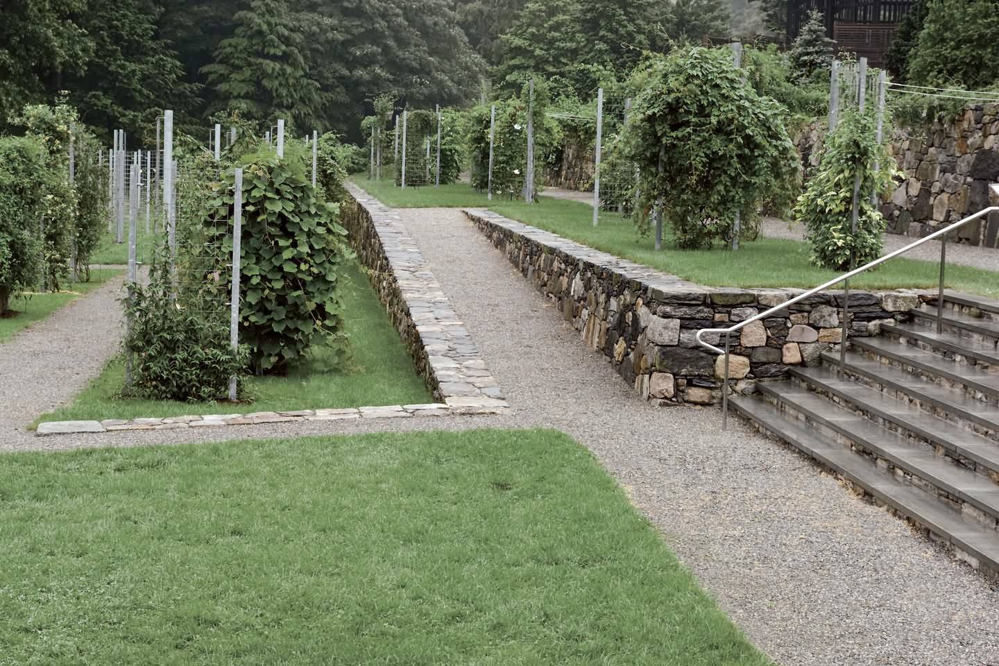 Arnold Arboretum Leventritt Garden Google Search