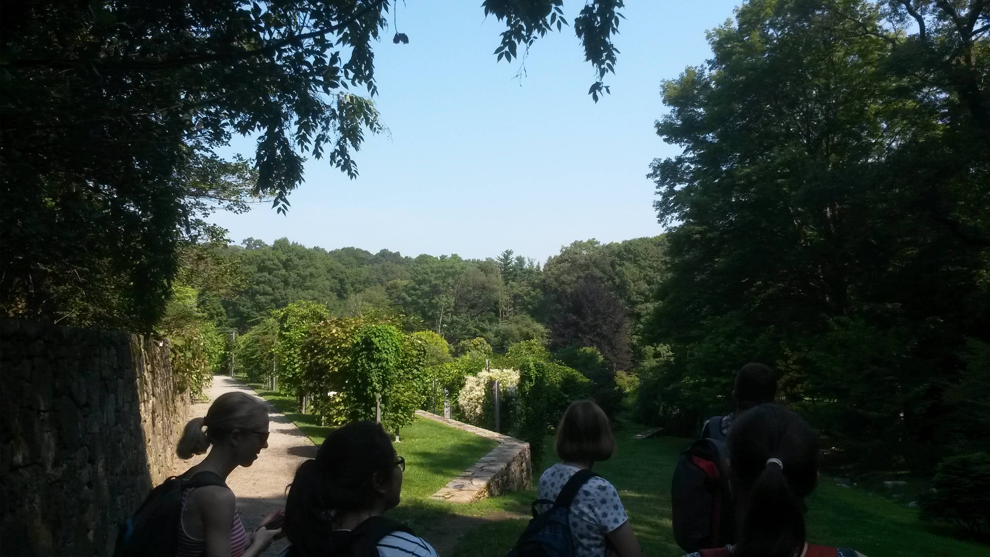 Arnold Arboretum Magazine