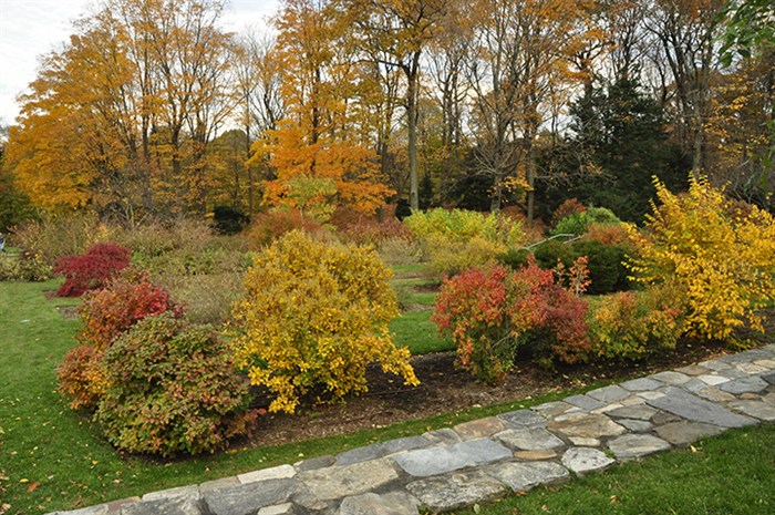 Arnold Arboretum Arnold Arboretum