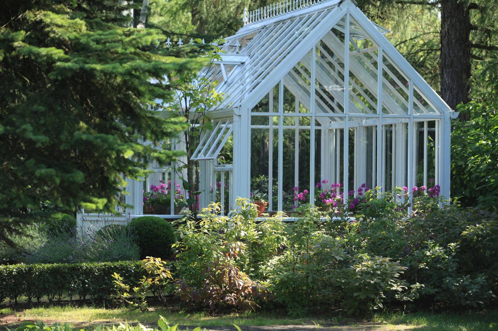 Backyard Greenhouse Ideas
