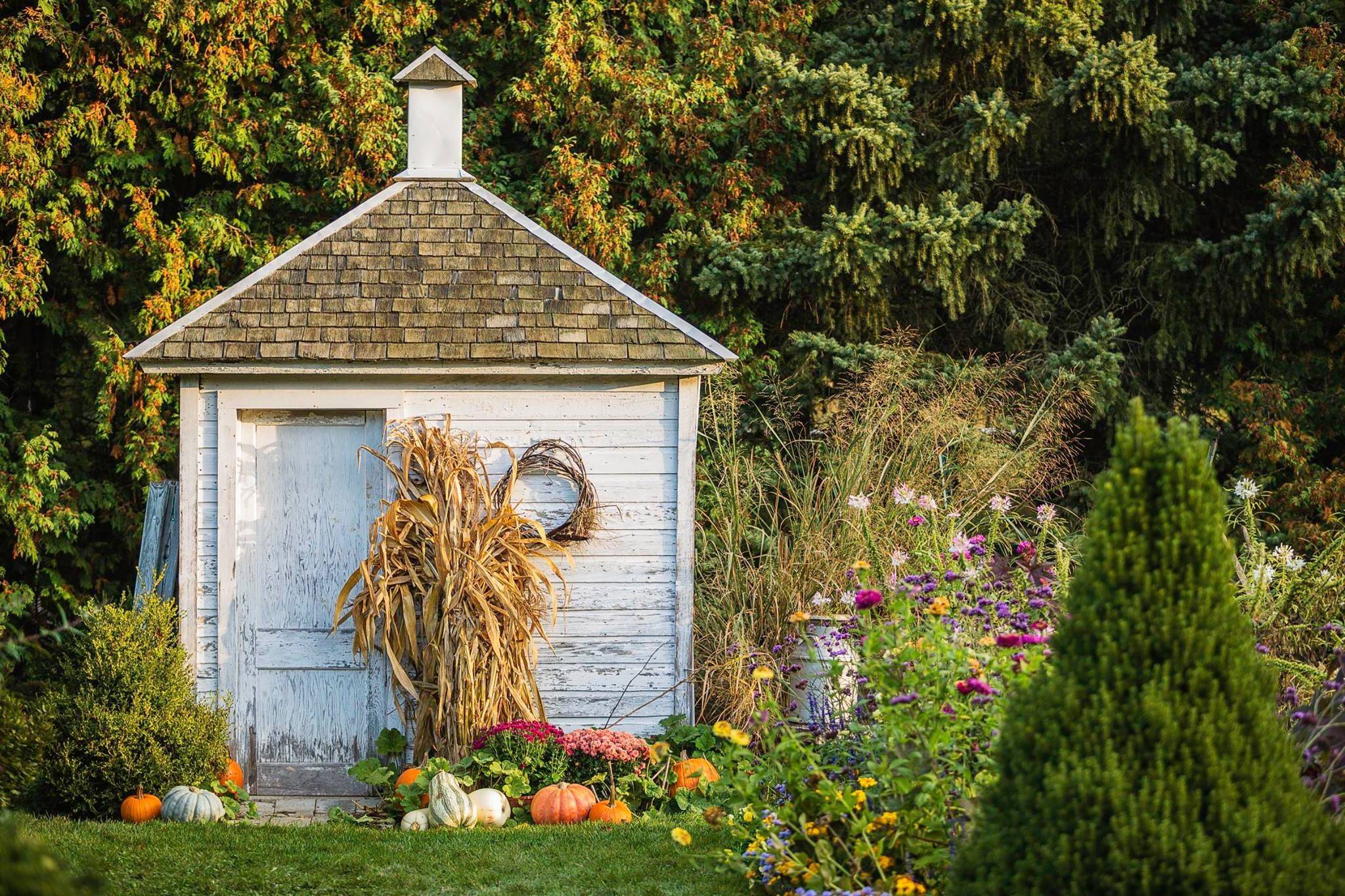 Clippedonissuu Cottage Garden
