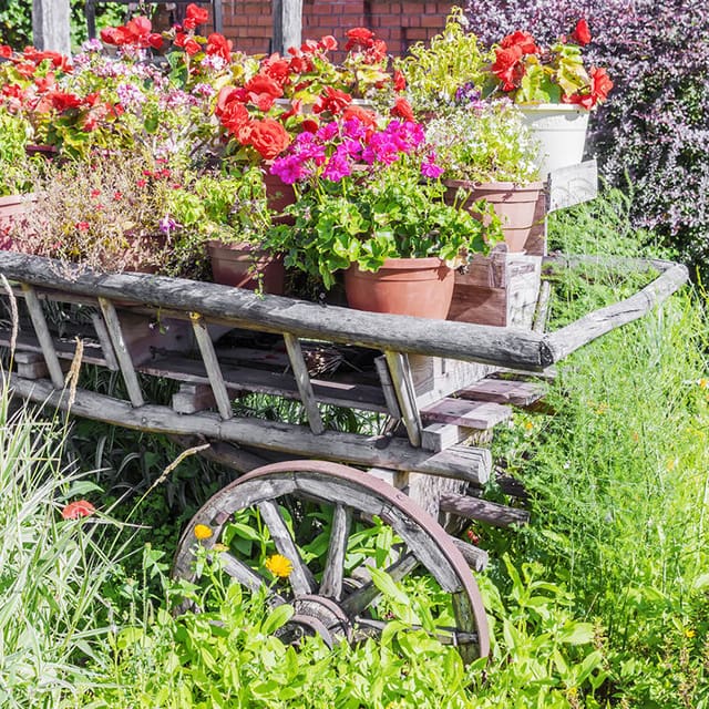 Antique Wagon Planter