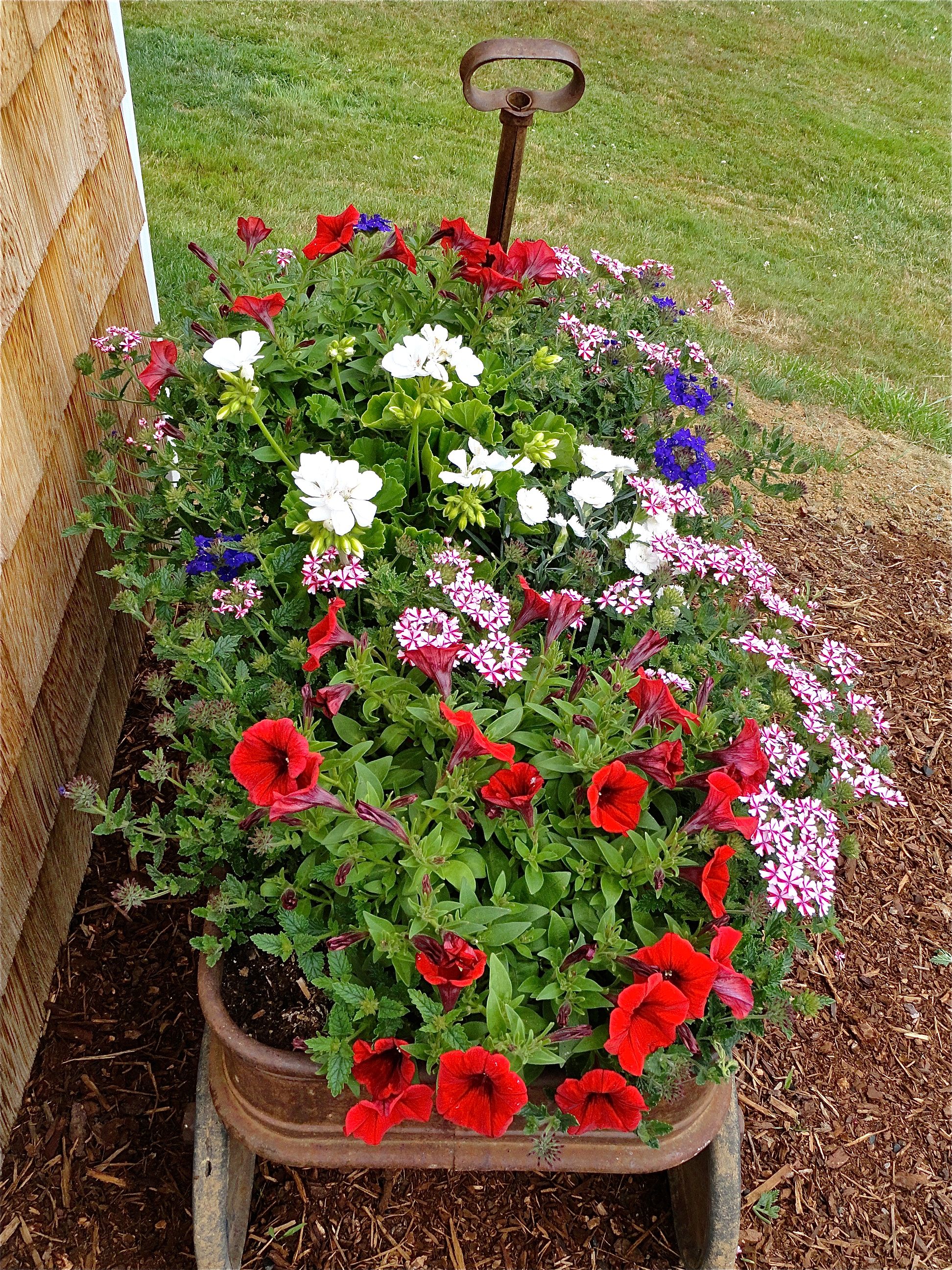 Caterpillar Crate Planter Backyard Planters