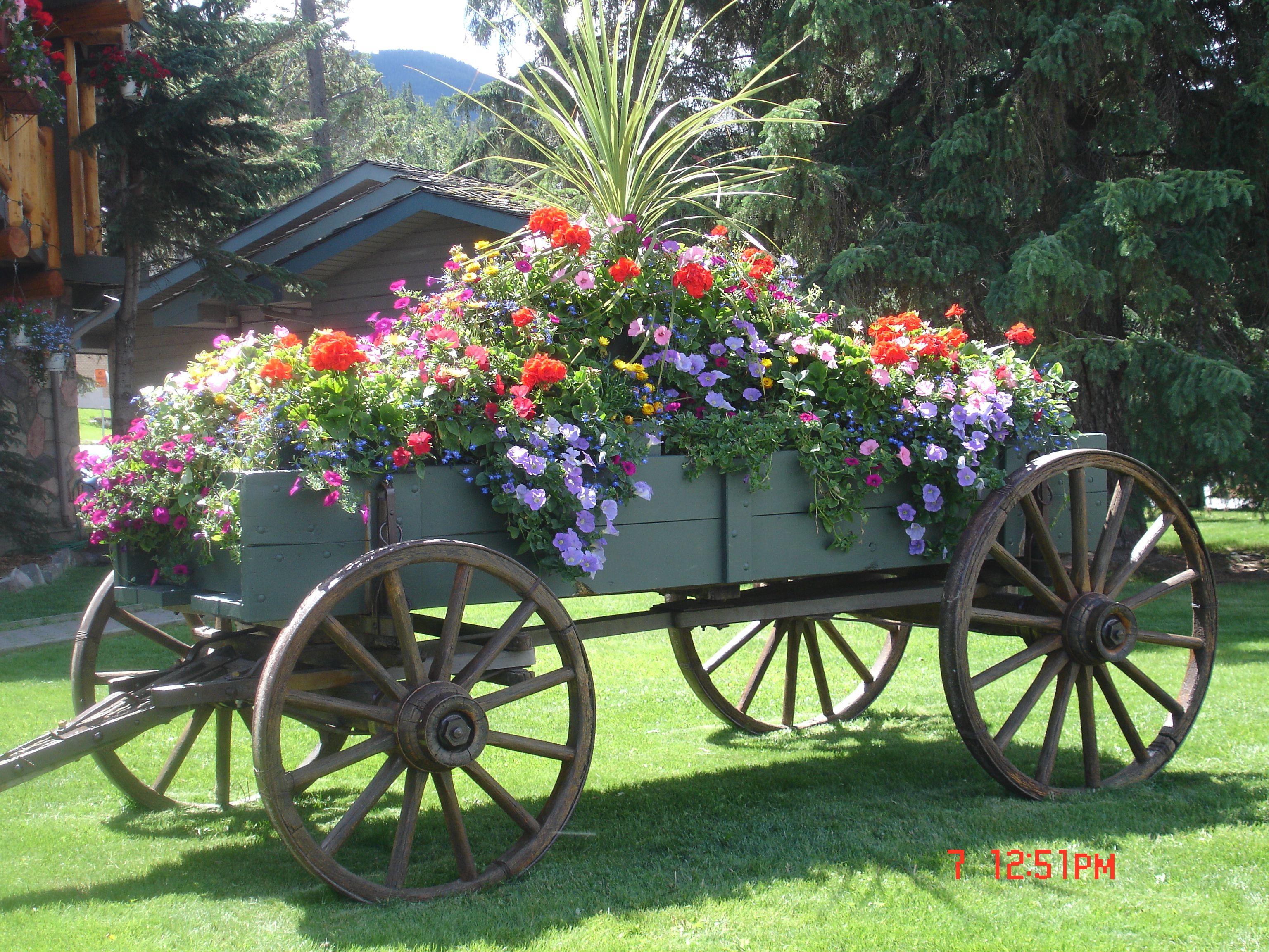 My Wagon Wheel Planter