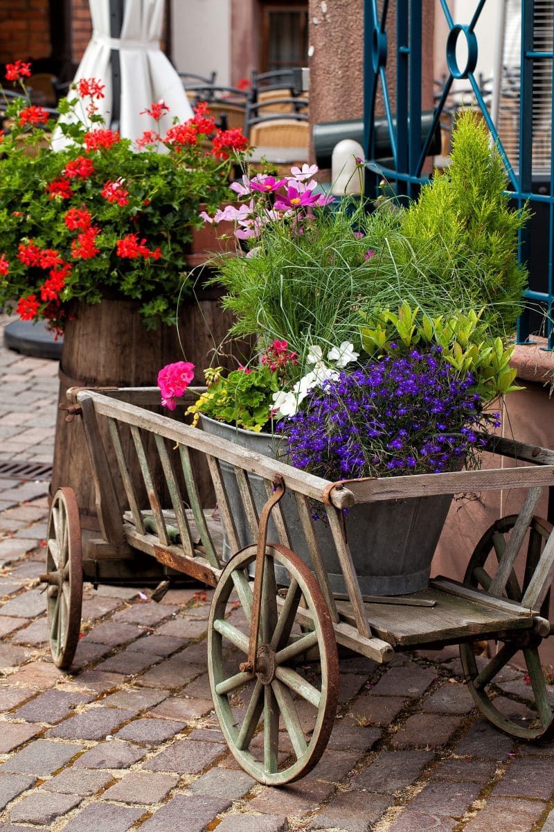 Wagon Planter Wagon Planter