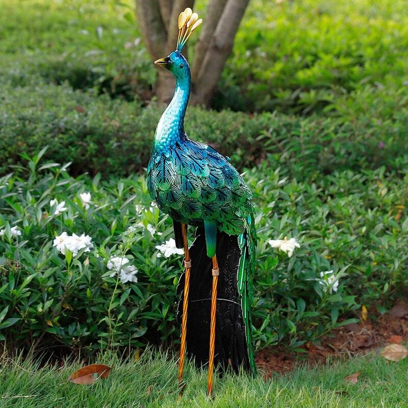 19 Peacock Garden Decor Ideas You Must Look SharonSable