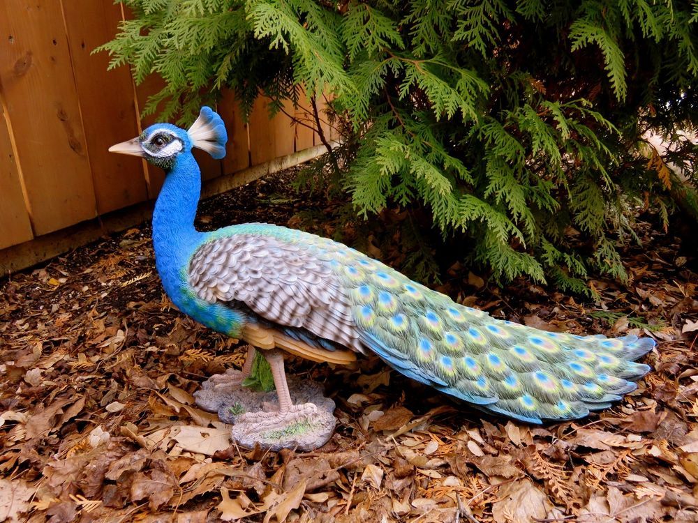 19 Peacock Garden Decor Ideas You Must Look SharonSable
