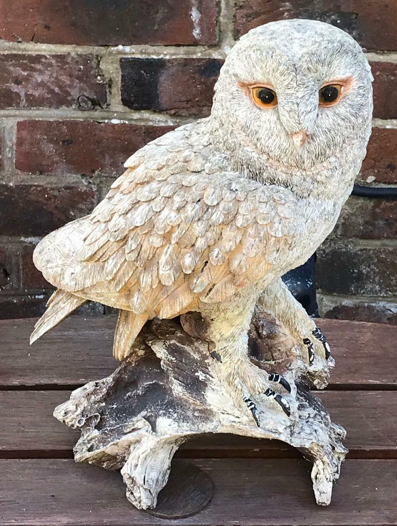 Collections Etc Solar Brown Hooting Owl Garden Decor Yard Stake