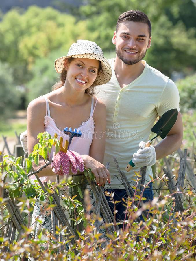 A Garden Photo Free Download
