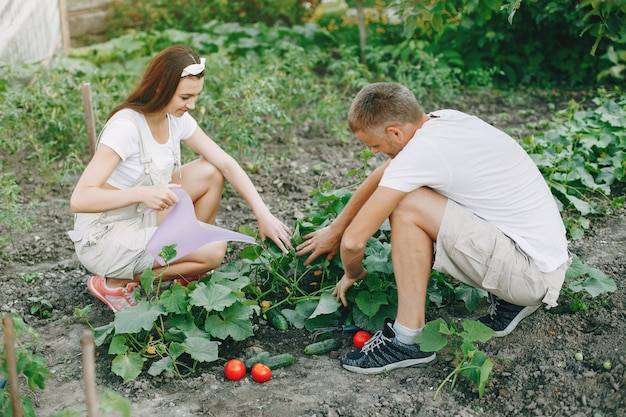 Couple Gardening Highres Stock Photo Getty Images