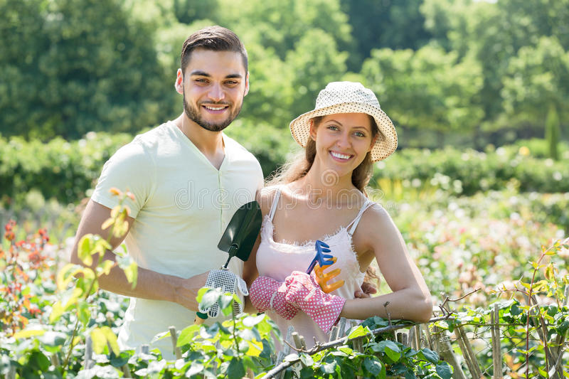 Gardening Stock Photo Image