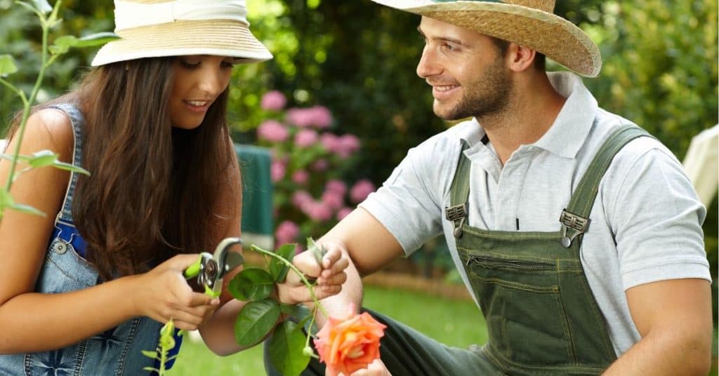 Cheap Romantic Date Ideas